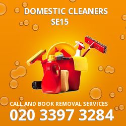 Nunhead domestic cleaners SE15