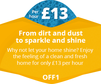 Shiny Clean Home for Just £13 per hour