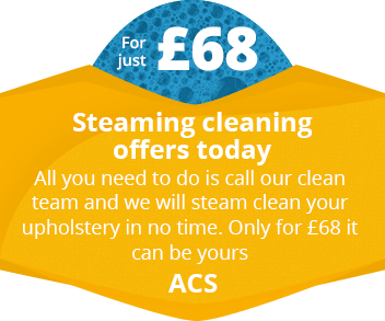 Steaming Hot Prices for Steam Cleaning