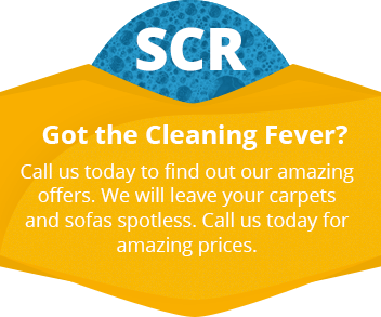 Spotless Clean Home for Amazingly Low Prices