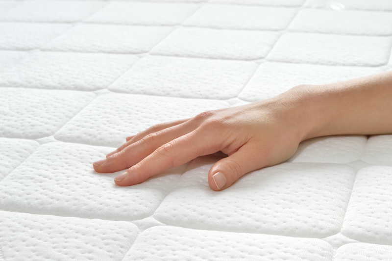 Professional Carpet Cleaning: Recommended Timing